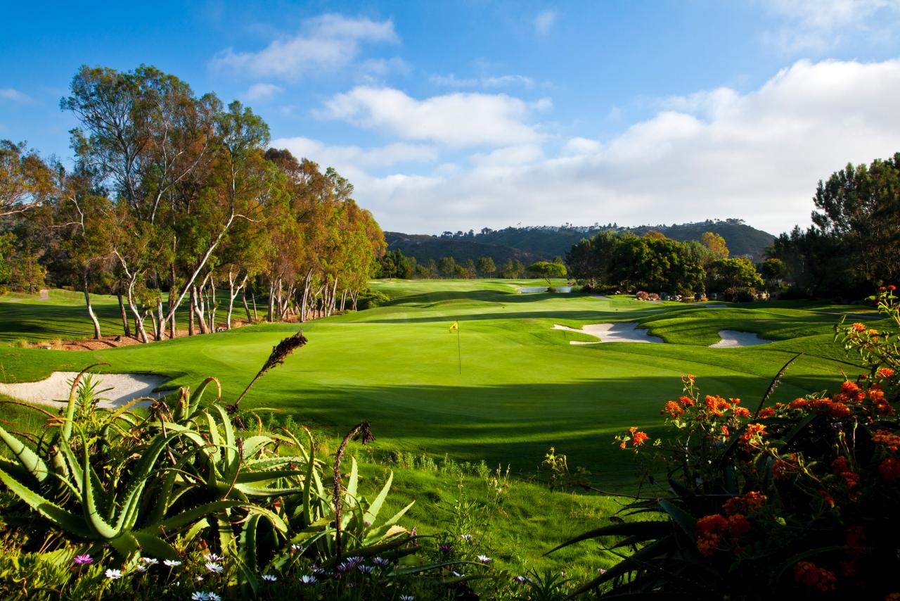 Discovering the Fairways: Best Golf Courses in San Diego